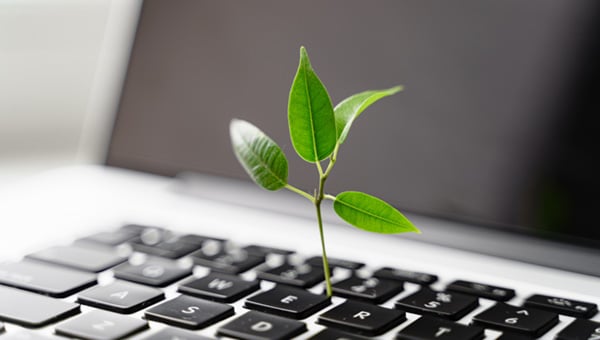 How to Make Digital Workspaces More Sustainable